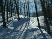 Il Bosco Del Pistone