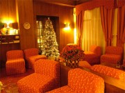 Hotel Del Lago 122010 019